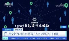 cgpay钱包有什么好处为什么要使用cgpay钱包？