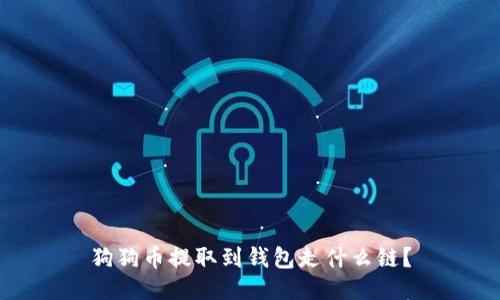狗狗币提取到钱包走什么链?