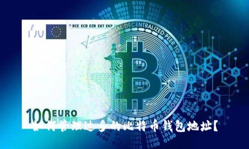 如何管理过多的比特币钱包地址?