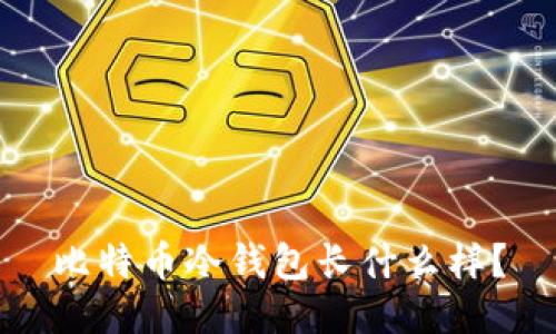 比特币冷钱包长什么样?