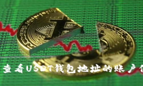 如何查看USDT钱包地址的账户信息?