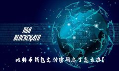 比特币钱包支付密码忘了怎么办?