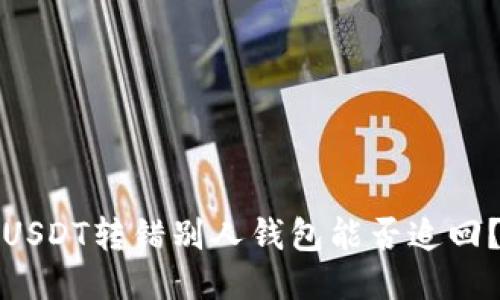 USDT转错别人钱包能否追回?