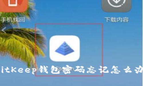 BitKeep钱包密码忘记怎么办？