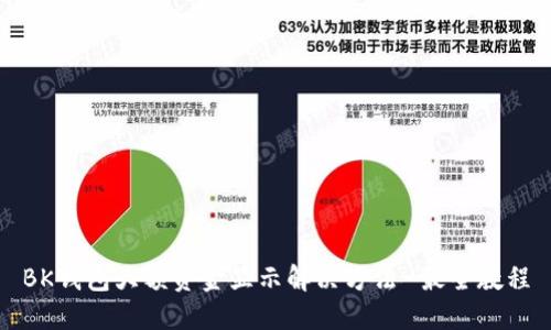 BK钱包大额资金显示解决方法-最全教程