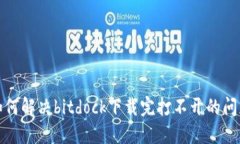 如何解决bitdock下载完打不开的问题