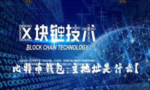 比特币钱包:主地址是什么?
