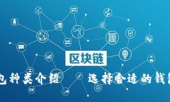 狗狗币适合的钱包种类介绍——选择合适的钱包