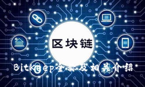 BitKeep全称及相关介绍