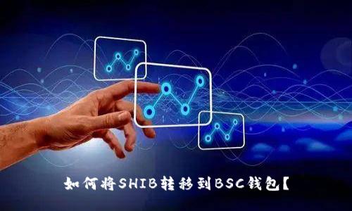 如何将SHIB转移到BSC钱包?