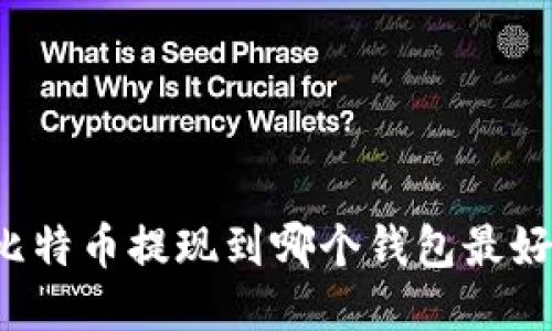 比特币提现到哪个钱包最好?