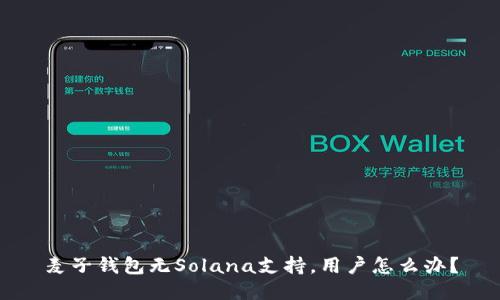 麦子钱包无Solana支持,用户怎么办?