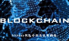 Bitkeep钱包介绍及使用指南：