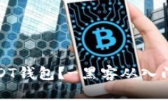 如何盗取USDT钱包?-黑客从入门到精通教学