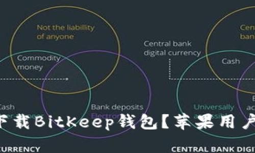 如何下载BitKeep钱包？苹果用户必看！