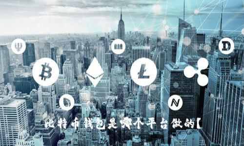 比特币钱包是哪个平台做的?