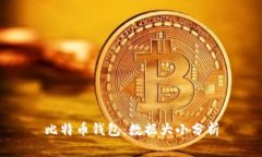 比特币钱包:数据大小分析