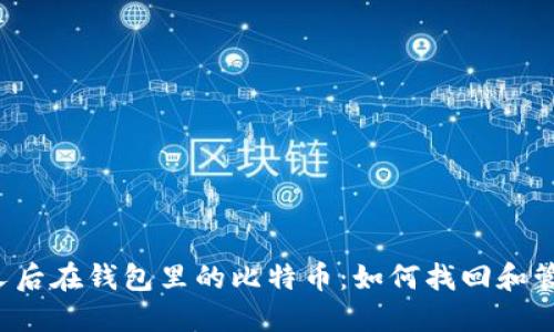 分叉后在钱包里的比特币:如何找回和管理?