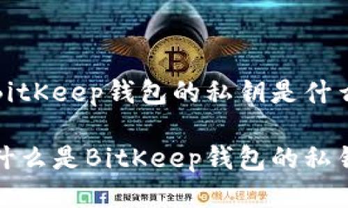 BitKeep钱包的私钥是什么

什么是BitKeep钱包的私钥