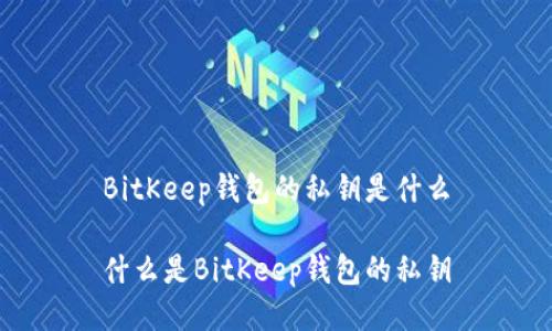 BitKeep钱包的私钥是什么

什么是BitKeep钱包的私钥