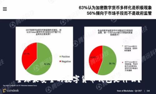 全球最安全的数字货币钱包是什么？