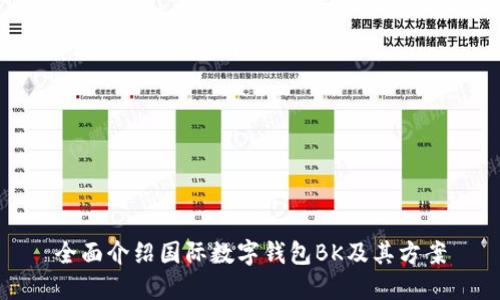 全面介绍国际数字钱包BK及其方案