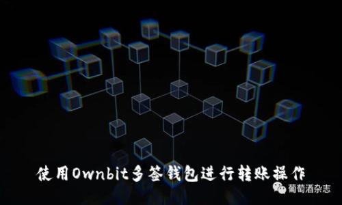 使用Ownbit多签钱包进行转账操作