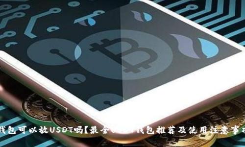 钱包可以放USDT吗?最全USDT钱包推荐及使用注意事项
