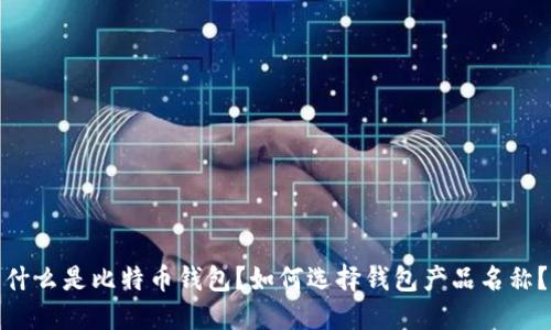 什么是比特币钱包?如何选择钱包产品名称?