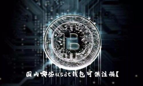 国内哪些usdt钱包可供注册?