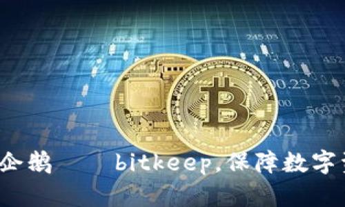 了解波场企鹅——bitkeep，保障数字资产安全 