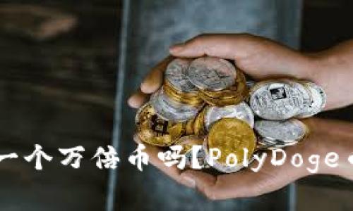 PolyDoge币是下一个万倍币吗？PolyDoge币的未来前景分析