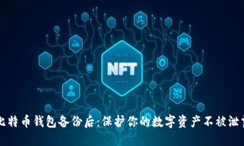 比特币钱包备份后:保护你的数字资产不被泄露