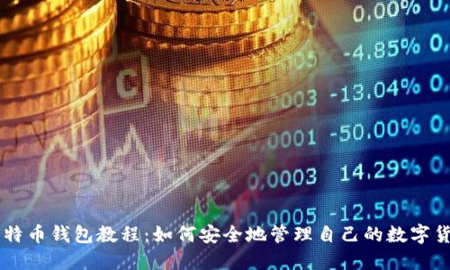 比特币钱包教程:如何安全地管理自己的数字货币