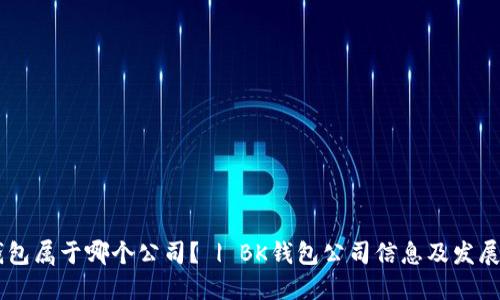 BK钱包属于哪个公司？ | BK钱包公司信息及发展历程