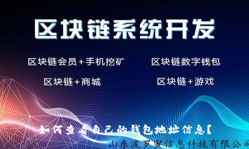 如何查看自己的钱包地址信息?
