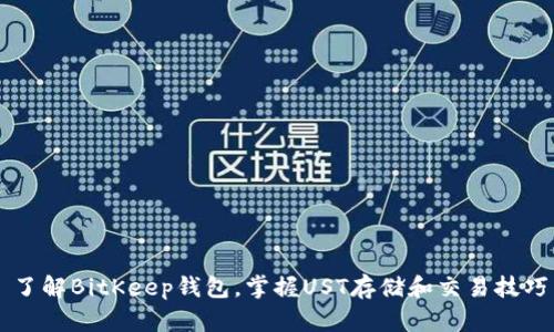 了解BitKeep钱包,掌握UST存储和交易技巧