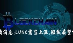 币圈最新行情消息：LUNC震荡上涨，短线有望突破