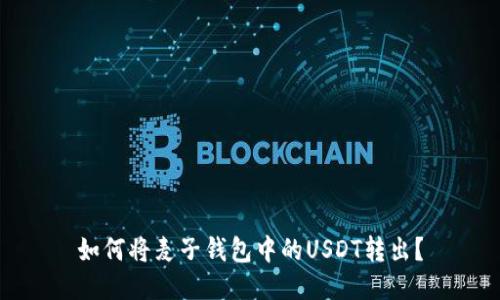 如何将麦子钱包中的USDT转出?