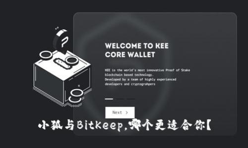 小狐与BitKeep,哪个更适合你?