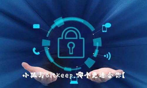 小狐与BitKeep,哪个更适合你?