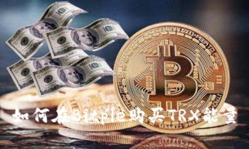 如何在Bitpie购买TRX能量