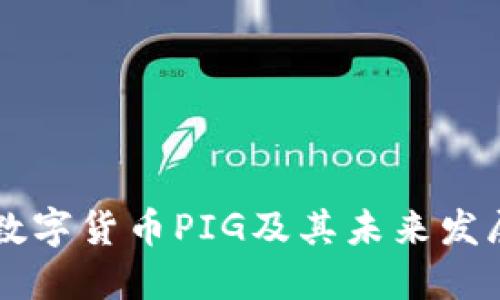 了解数字货币PIG及其未来发展趋势
