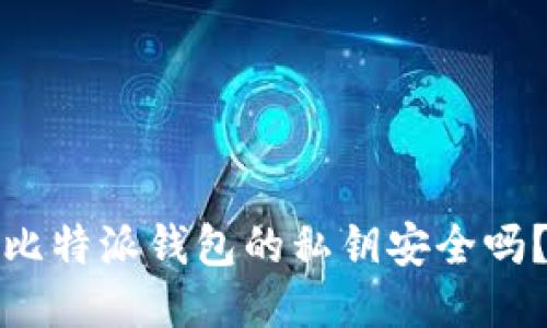比特派钱包的私钥安全吗?