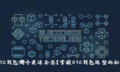 BTC钱包哪个更适合您?掌握BTC钱包选型的秘籍