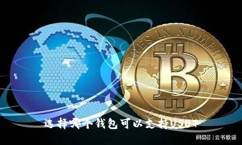 选择哪个钱包可以支持USDT