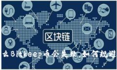 为什么Bitkeep币会失败,如何规避风险