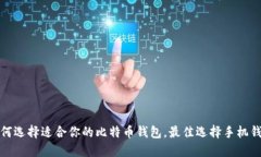 如何选择适合你的比特币钱包,最佳选择手机钱