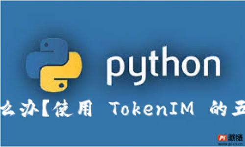 忘记 TokenIM 密钥怎么办?使用 TokenIM 的五种解决方法及注意事项