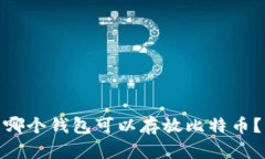 哪个钱包可以存放比特币?